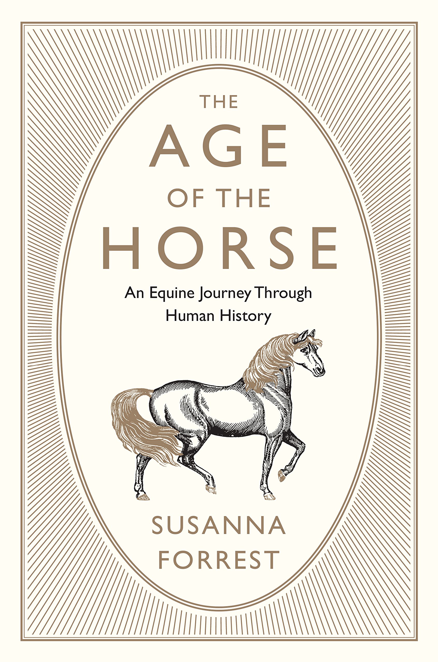 What is the age of a horse in human years